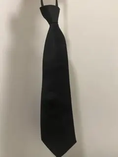 Item thumbnail for item 2d486615-cd55-47c5-95f7-9971e792d66e