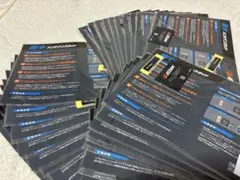 G'ZOXリアルガラスコートR 電子施工証明書 30枚 - メルカリ