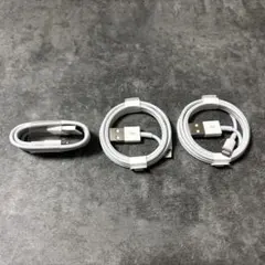 Apple 純正ケーブル USB-A 3本セット