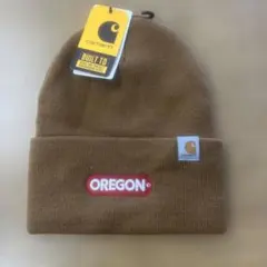 2721 Carhartt AK4597-M ニットキャップ ブラウン