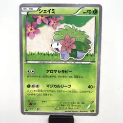 2026年最新】シェイミ cp5の人気アイテム - メルカリ