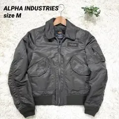 Item thumbnail for item 94eabd42-b878-400e-82a5-6d73e6f461e6