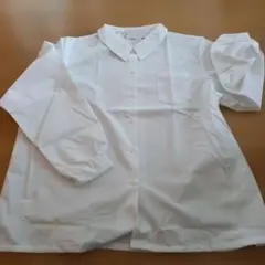 Item thumbnail for item 8c318c27-bc26-455c-8b33-88d9baa031e6