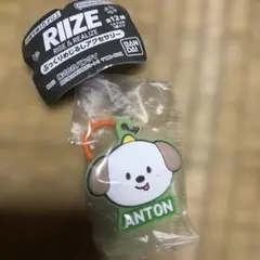 RIIZE ぷっくりめじるしアクセサリー アントン