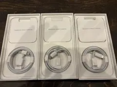 【正規品】Apple 純正 Lightning - USB Type-C×3本