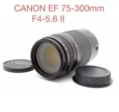 人気の望遠レンズ /フード付き/キヤノン/Canon EF75-300㎜ 人気の望遠レンズ/フード付き/キヤノン/Canon EF75-300㎜ - メルカリ