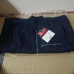 Item thumbnail for item 785b1269-8cc4-489c-bc1e-39b3132618a7