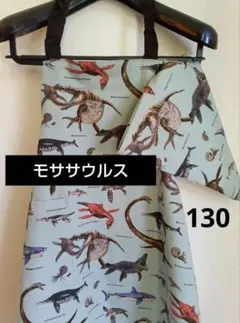 Item thumbnail for item 76d35bda-7e73-4e54-bcd1-24896393d256