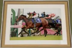 非売品 JRA-VAN ジェンティルドンナ 2013年ジャパンC レースパネル