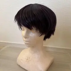 ウィッグ　コスプレ　髪　ブラック　パープル　ショート