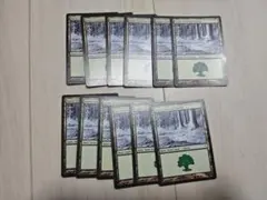 MTG 雪氷の森 Snow-Covered Forest 12枚セット 英語版