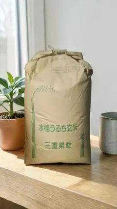 【CH11】（餅米）20キロ静岡県産令和7年度産新米 玄米色選４回冷蔵庫 限定】（餅米）20キロ静岡県産令和7年度産新米 玄米 色選4回冷蔵庫