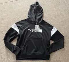 Item thumbnail for item 6b8e01ce-e6be-4bfa-84d2-6c80213ed4a8