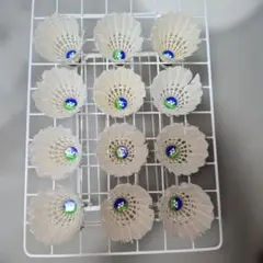 Item thumbnail for item 1c27d8e3-9d87-464a-87f7-61403cba2992