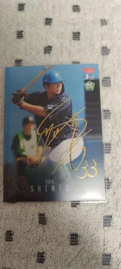 Item thumbnail for item c00dae60-30a7-4636-af0d-c660f736d9f2