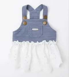 Item thumbnail for item e8bb6e1b-207b-47cd-bcd2-45c99ea5a87d