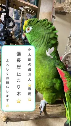 Item thumbnail for item 7044f0a1-1f91-4354-8135-5e5da2aabb53