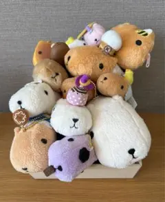 Item thumbnail for item 5510a855-8b4a-434a-a064-61c30407bb8e