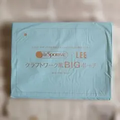 【付録】LeSportsac × LEE クラフトワーク風 BIGポーチ
