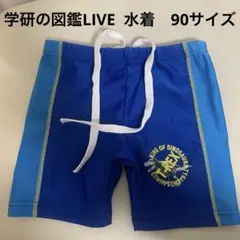 水着　90 恐竜　学研の図鑑　男の子　ティラノサウルス　ラッシュガード　プール