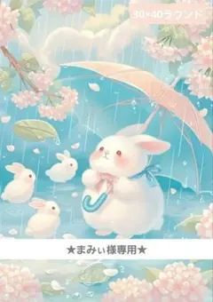 まみぃ様 リクエスト 2点 まとめ商品