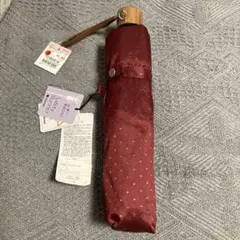 Item thumbnail for item 509300ad-7821-4c5f-bf4d-299bd6a3f8e7