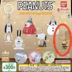 PEANUTS スヌーピー めじるしアクセサリー FUNNY チャーリーブラウン