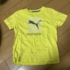 PUMA イエロー Tシャツ 130サイズ