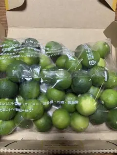 徳島県産すだちL〜2Lサイズのサムネイル
