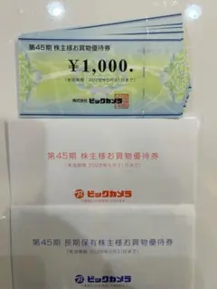 ビックカメラ　コジマ　株主優待　お買物優待券　23000円分