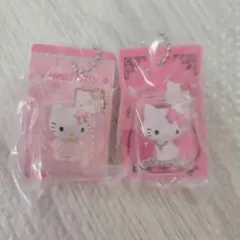 ハローキティ　ガチャガチャ　パッケージミニチュアコレクション　2個セット