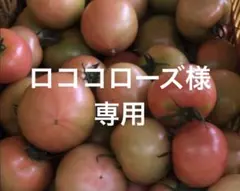 ロココローズ様　専用