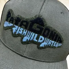 極美品 L/XL パタゴニア 2015 ブロードビル キャップ トラウト 釣り 極美品 L/XL パタゴニア 2015 ブロードビル キャップ トラウト