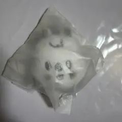 SKZOO FACE KEYRING SILVER Ver-HAN QUOKKA