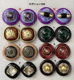 ボタンカボション250④ 10/17