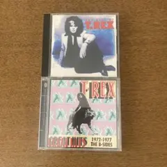 2026年最新】t-rex レコードの人気アイテム - メルカリ