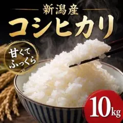 種籾 消毒済 芽出し済 コシヒカリ15kg 種籾 消毒済 芽出し済 コシヒカリ15kg - メルカリ