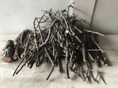 Item thumbnail for item 36f0860a-e375-4a33-881a-d993240165dd