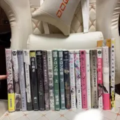 ボーイズラブ BL漫画 セット売り 19冊セット