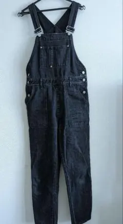 【美品】THE SHINZONE オーバーオール サロペット デニム