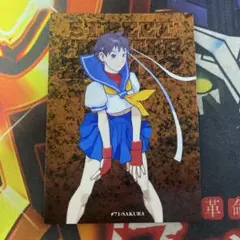 カードダスマスターズ 春麗　ロックマン 2025年最新】カードダス 春麗の人気アイテム - メルカリ