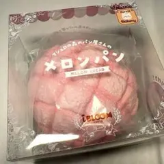 【新品】スクイーズ　ブルーム　メロンパン イチゴ パン　ibloom BLOOM