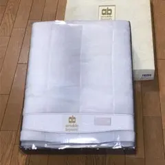 【新品未使用】敷きパッド　アーノルド・バッシーニ　シングル　オーロラ　グレー