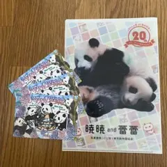 2025年最新】上野松坂屋 パンダ カードの人気アイテム - メルカリ