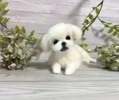 羊毛フェルト ホワイト系 リラックスチワワ - メルカリ