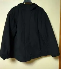 Item thumbnail for item 5c86d802-f559-4cc2-a7a1-3c73628d4d06