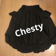 Chesty フレアスカート