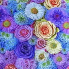 ❣️美月☆☆☆様 リクエスト 3点 まとめ商品