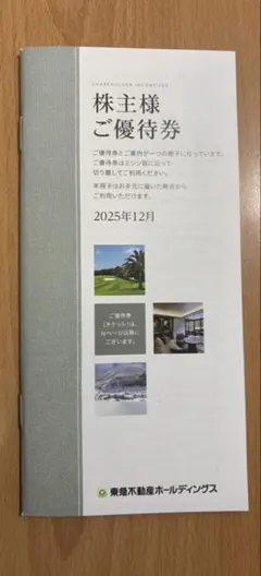 東急不動産ホールディングス　株主優待券　5000株以上