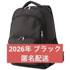 ワークマン パカッと開く！保冷保温パントリー軽量マザーズリュック ブラックのサムネイル